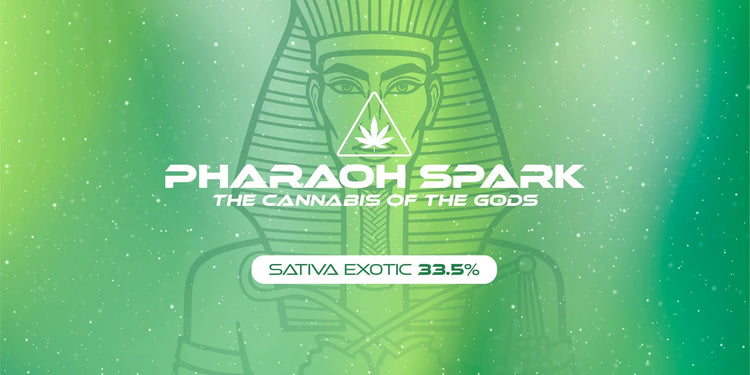 Anubis Premium Flower - Pharaoh Spark - Sativa - THCa